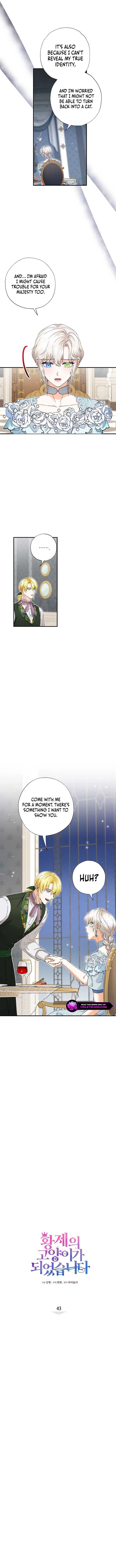 I Became the Emperor’s Cat Chapter 43 page 4