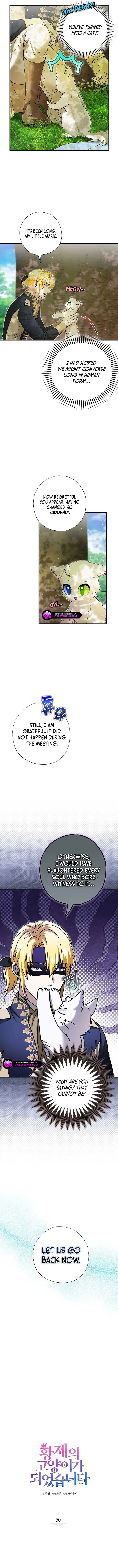 I Became the Emperor’s Cat Chapter 50 page 7