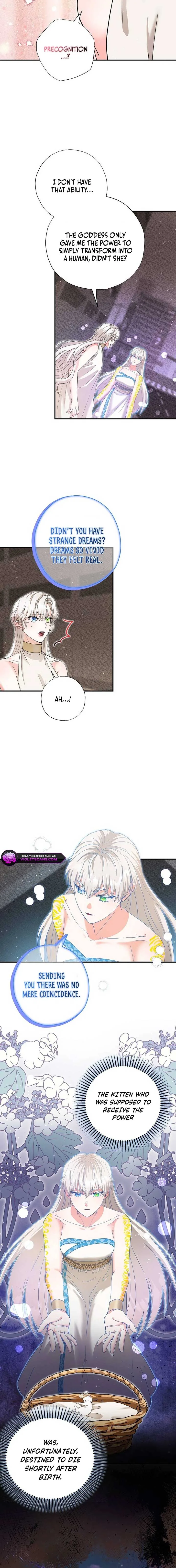 I Became the Emperor’s Cat Chapter 56 page 7