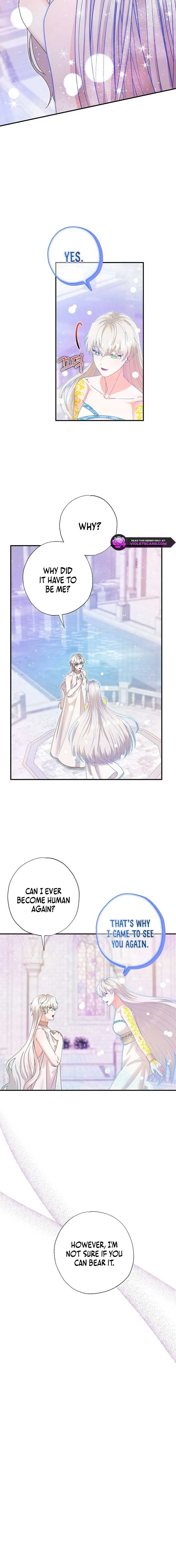 I Became the Emperor’s Cat Chapter 56 page 4