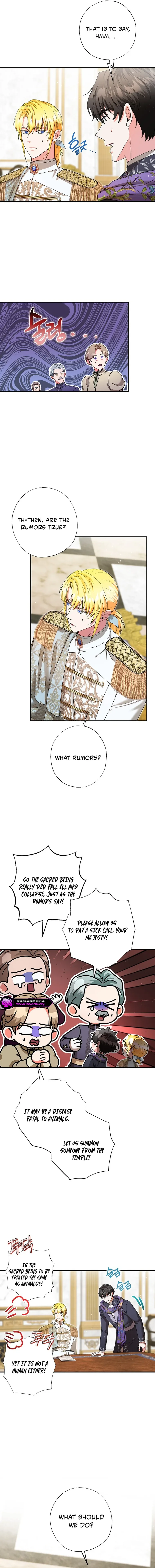 I Became the Emperor’s Cat Chapter 72 page 4
