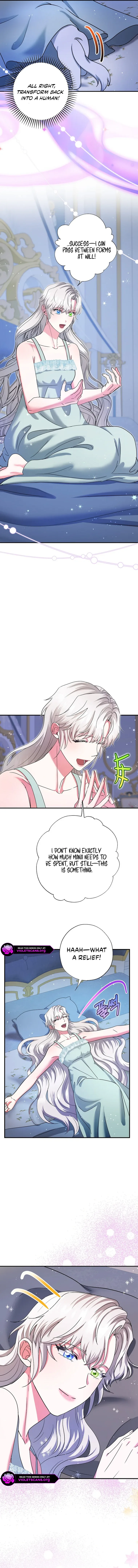 I Became the Emperor’s Cat Chapter 72 page 13