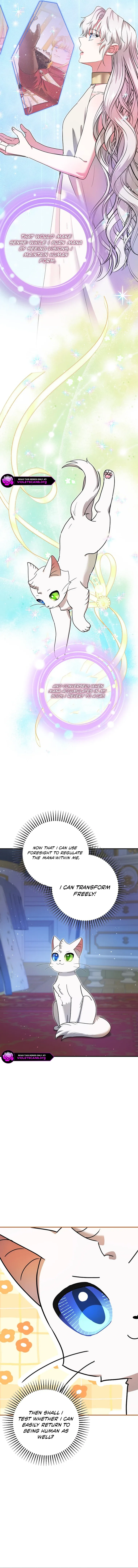 I Became the Emperor’s Cat Chapter 72 page 12