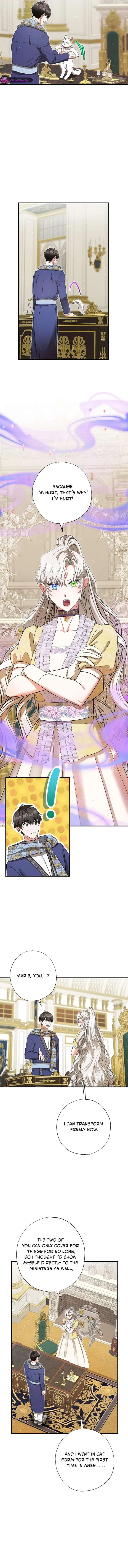 I Became the Emperor’s Cat Chapter 74 page 7