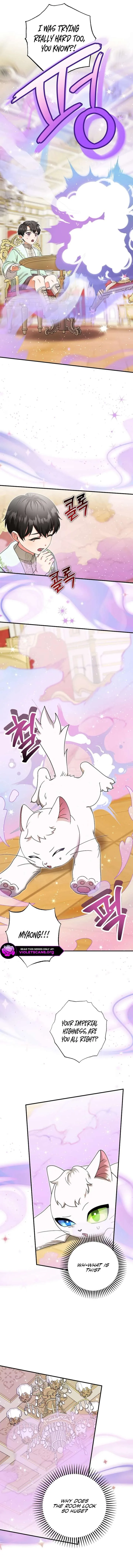 I Became the Emperor’s Cat Chapter 84 page 5