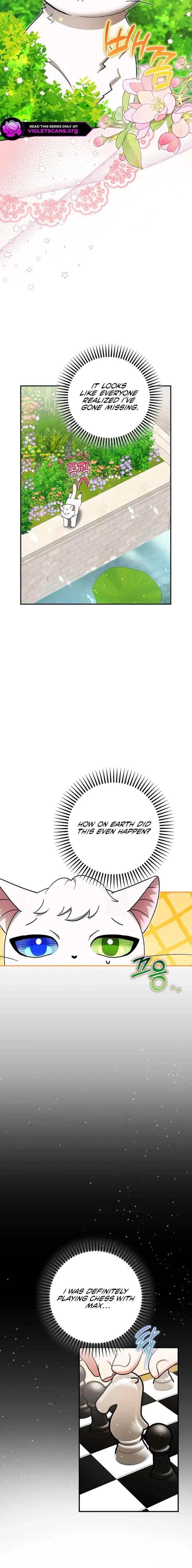 I Became the Emperor’s Cat Chapter 84 page 3