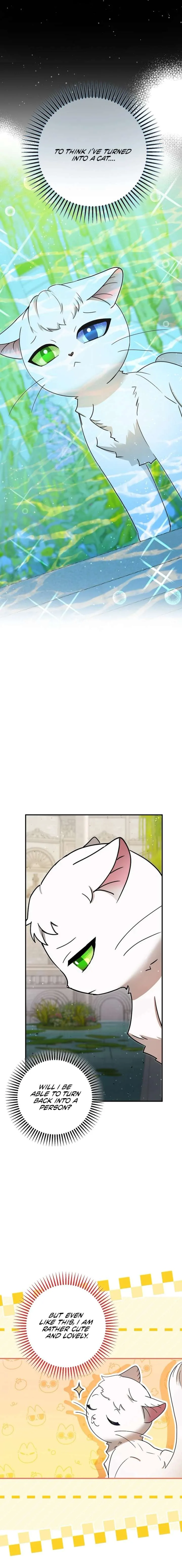 I Became the Emperor’s Cat Chapter 84 page 7