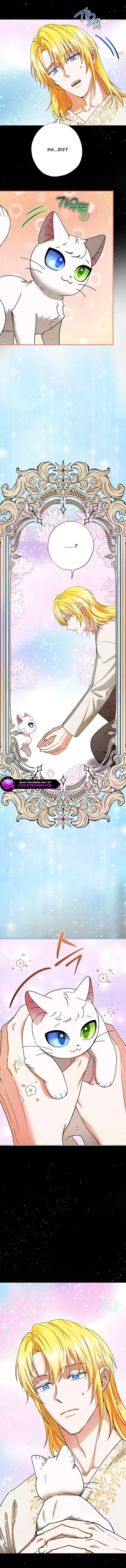 I Became the Emperor’s Cat Chapter 82 page 2