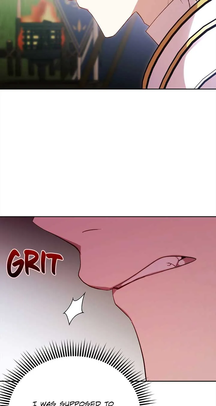I Became the Greatest Heiress of the Empire Chapter 33 page 73