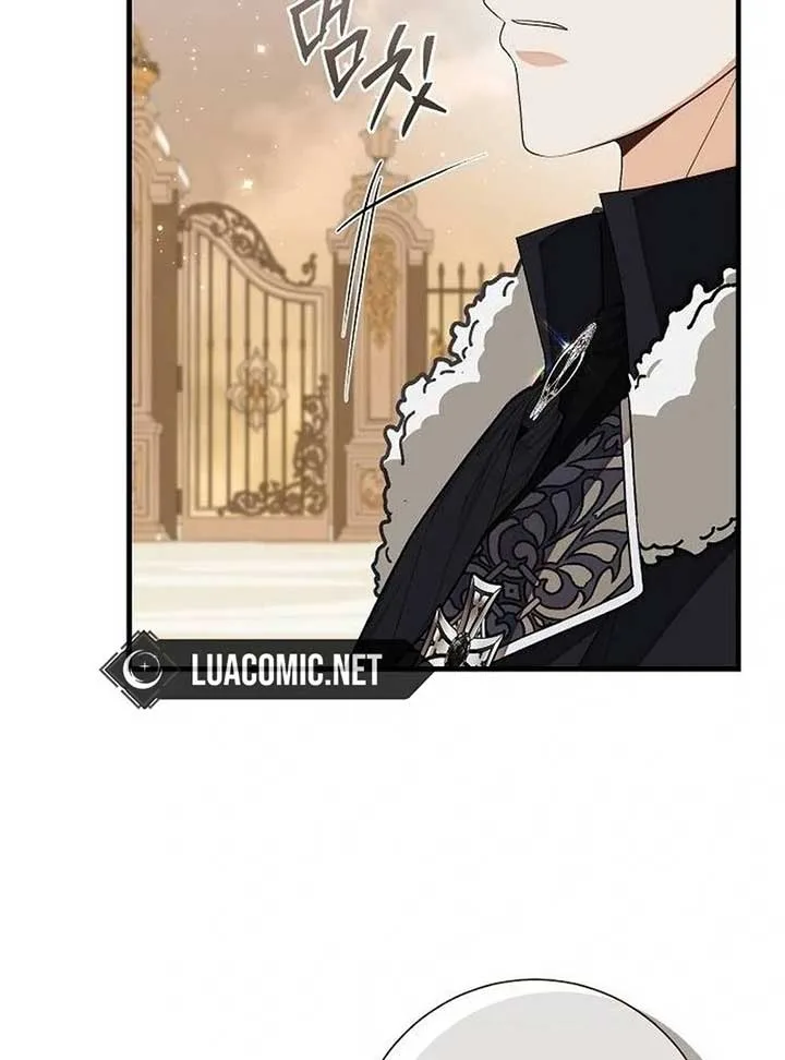 I Became the Mother of the Supporting Male Lead’s Son Chapter 35 page 27