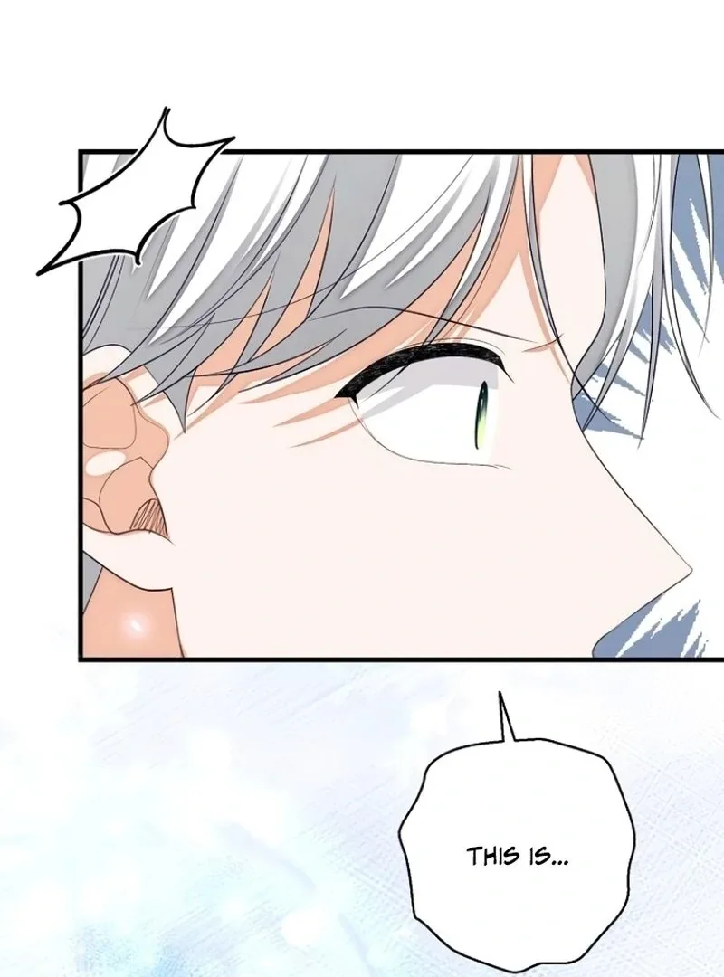 I Became the Mother of the Supporting Male Lead’s Son Chapter 39 page 50
