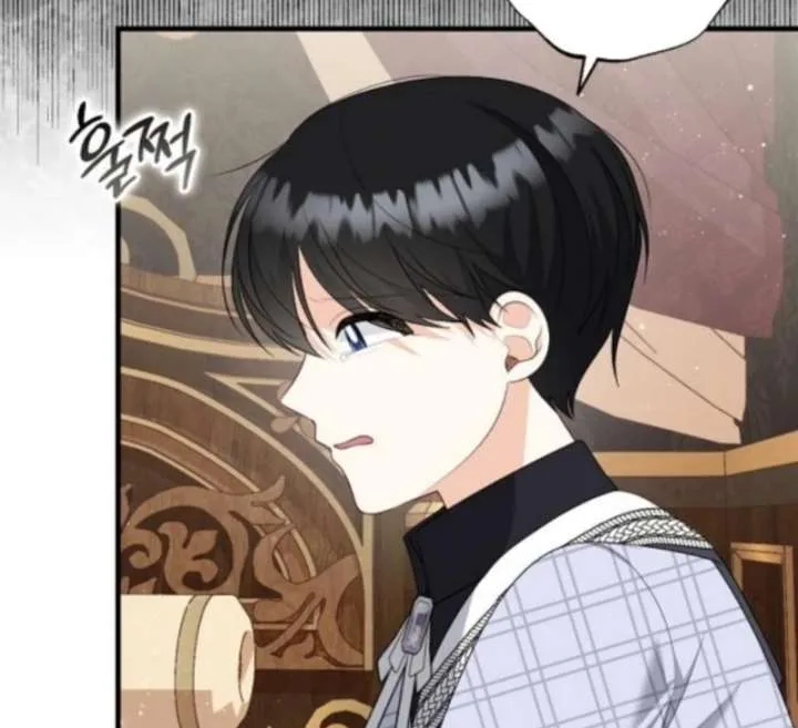 I Became the Mother of the Supporting Male Lead’s Son Chapter 51 page 69