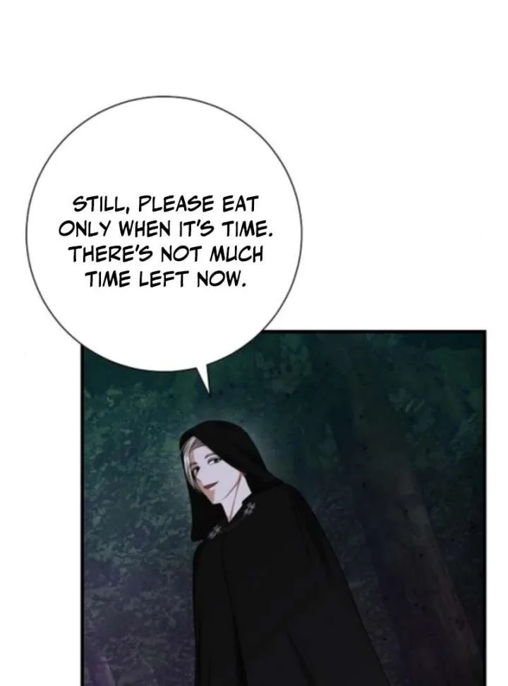 I Became the Mother of the Supporting Male Lead’s Son Chapter 50 page 9