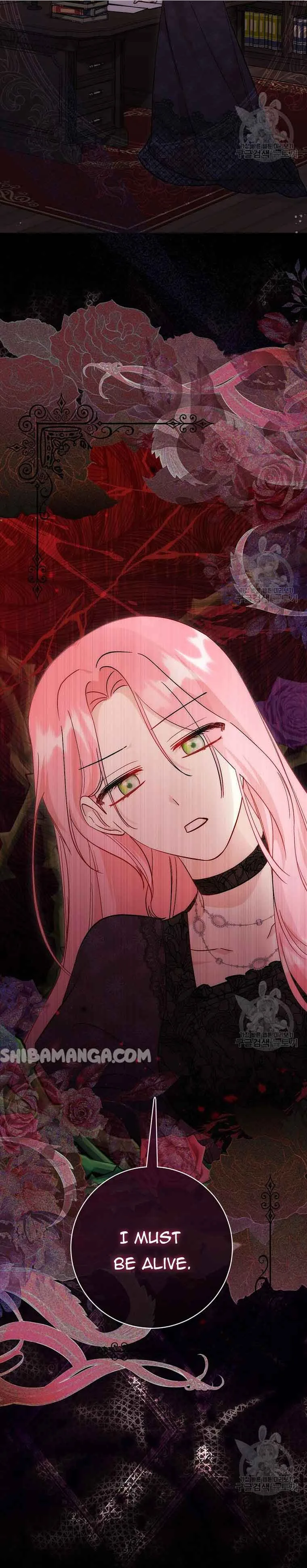 I Became the Sister of the Time-Limited Heroine Chapter 11 page 17
