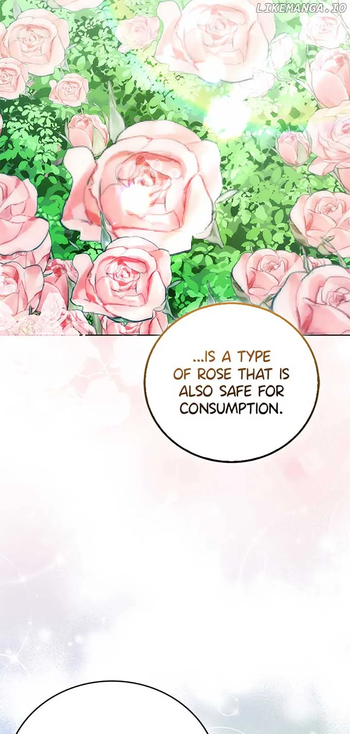 I Became the Sister of the Time-Limited Heroine Chapter 37 page 30