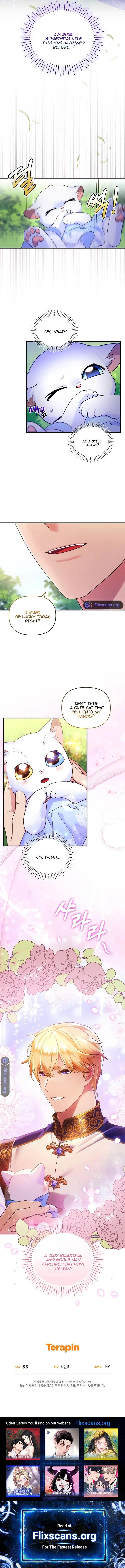 I Became the Sultan’s Precious Cat Chapter 7 page 9