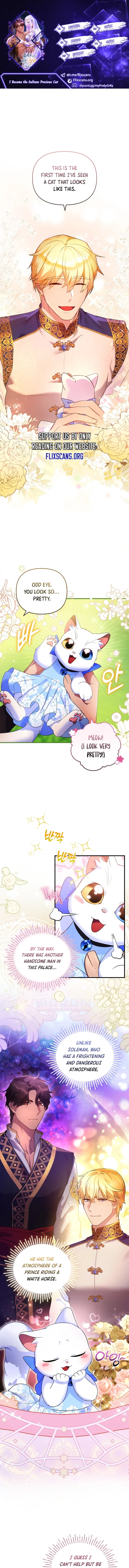 I Became the Sultan’s Precious Cat Chapter 8 page 2