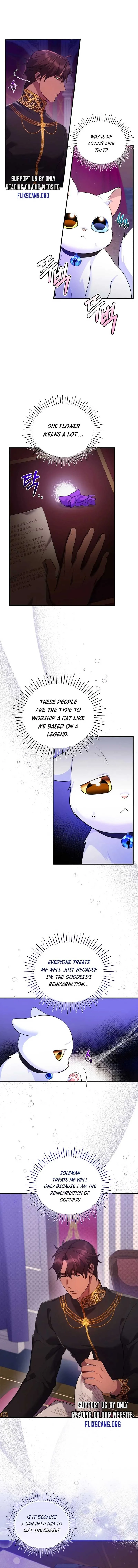 I Became the Sultan’s Precious Cat Chapter 9 page 2