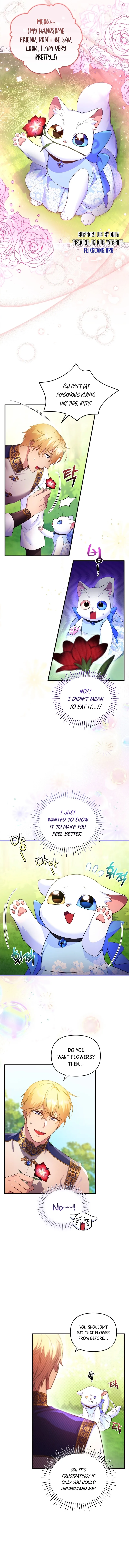 I Became the Sultan’s Precious Cat Chapter 8 page 5