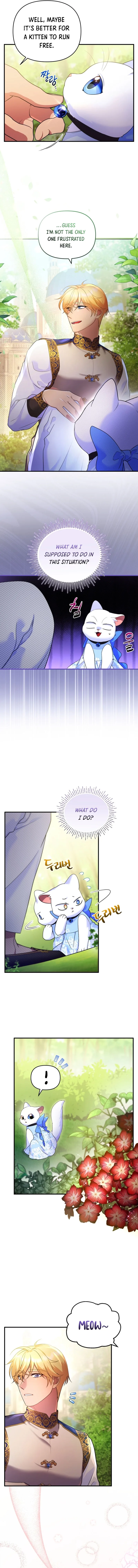 I Became the Sultan’s Precious Cat Chapter 8 page 4