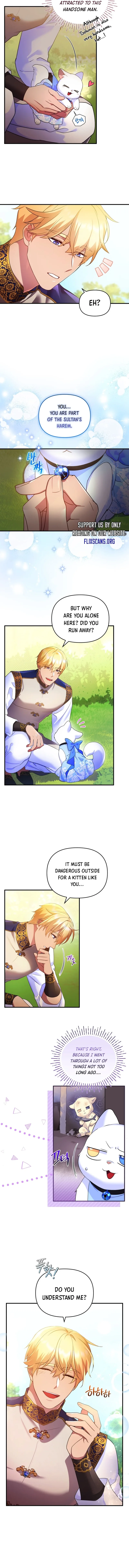 I Became the Sultan’s Precious Cat Chapter 8 page 3