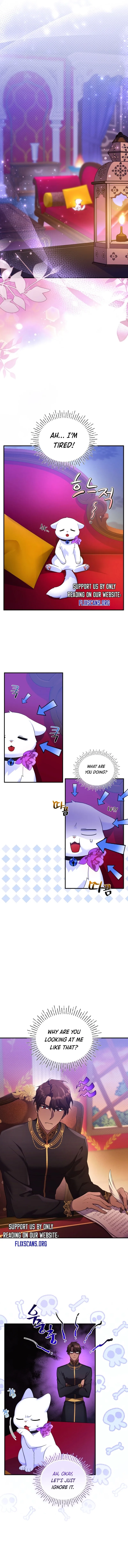 I Became the Sultan’s Precious Cat Chapter 8 page 10