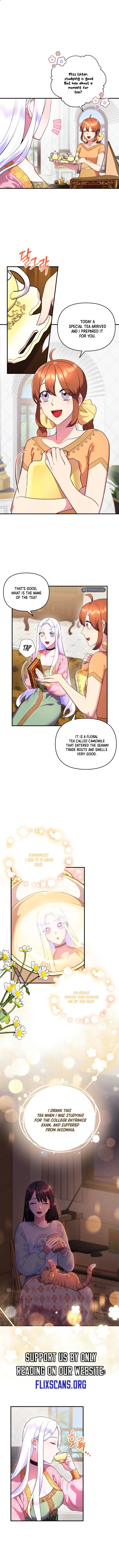 I Became the Sultan’s Precious Cat Chapter 17 page 4