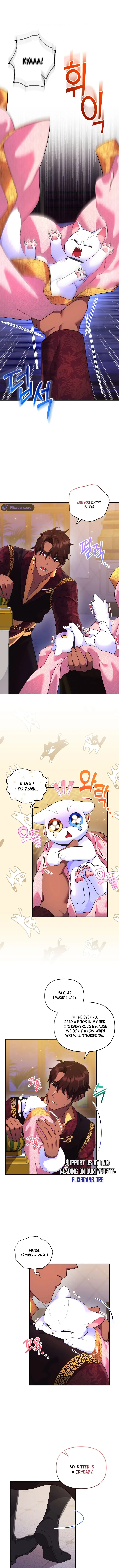 I Became the Sultan’s Precious Cat Chapter 17 page 8