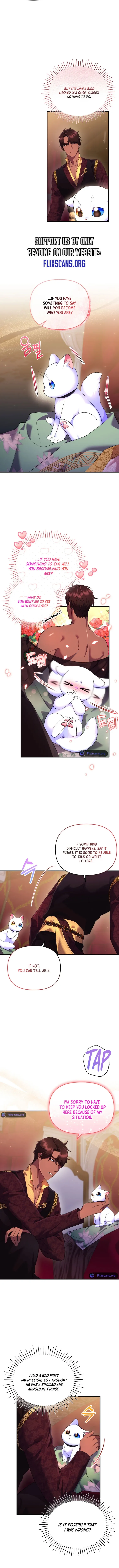 I Became the Sultan’s Precious Cat Chapter 17 page 10