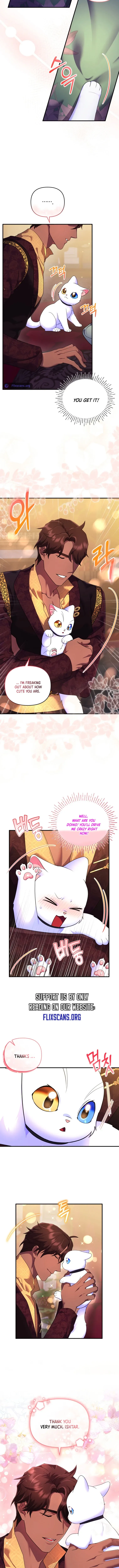 I Became the Sultan’s Precious Cat Chapter 17 page 12