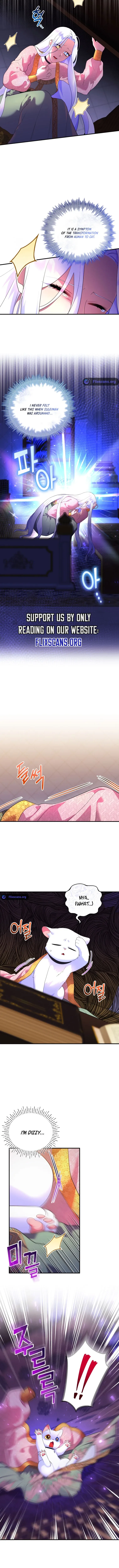 I Became the Sultan’s Precious Cat Chapter 17 page 7