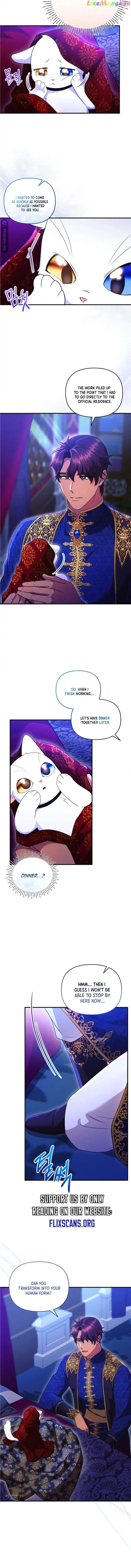 I Became the Sultan’s Precious Cat Chapter 26 page 5