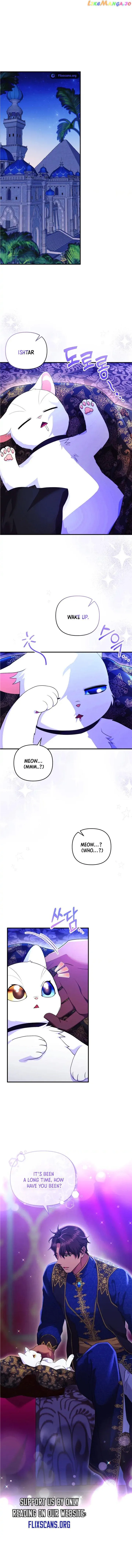 I Became the Sultan’s Precious Cat Chapter 26 page 2