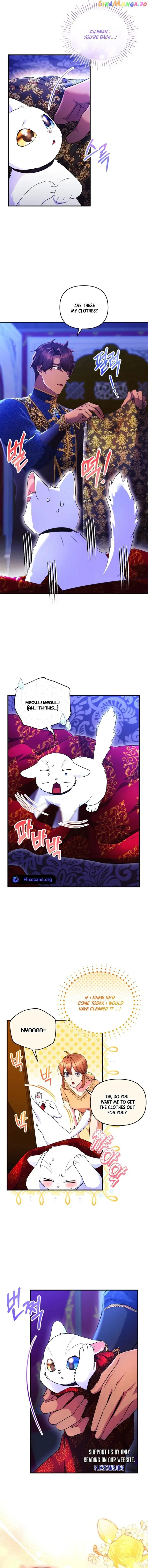 I Became the Sultan’s Precious Cat Chapter 26 page 3