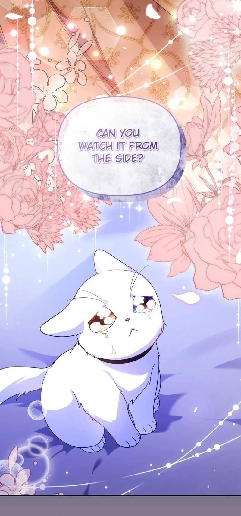 I Became the Sultan’s Precious Cat Chapter 40 page 39