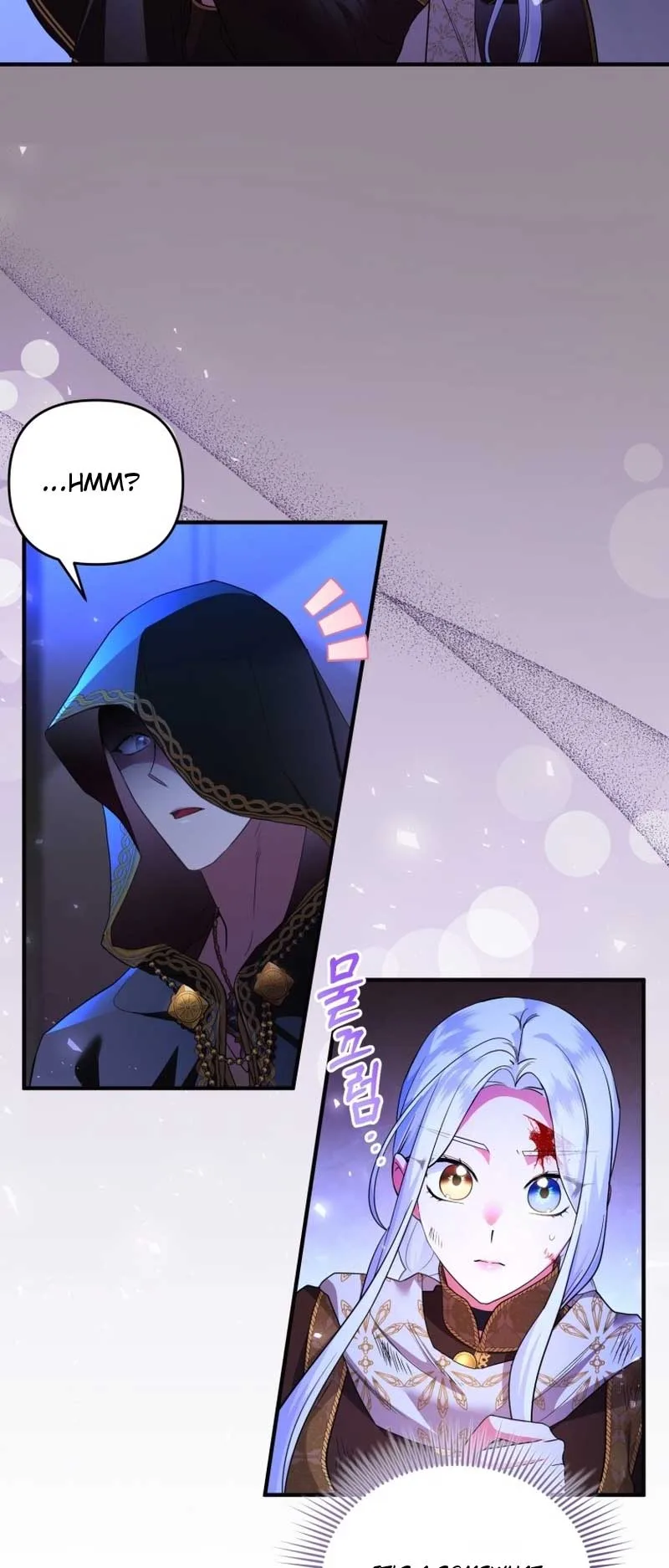 I Became the Sultan’s Precious Cat Chapter 40 page 5