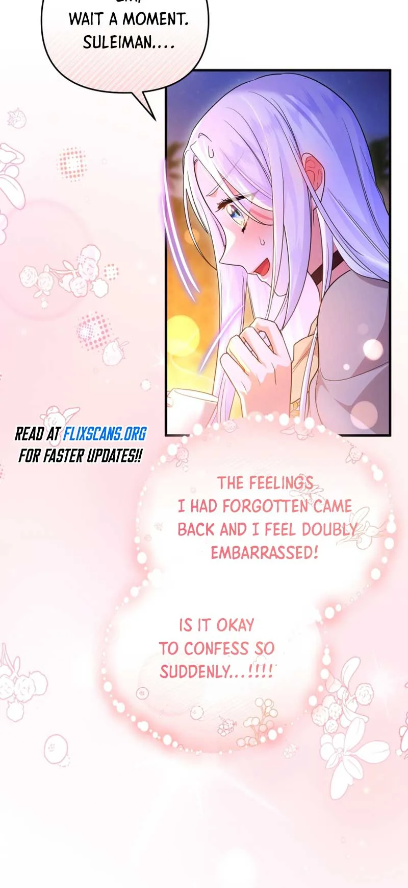 I Became the Sultan’s Precious Cat Chapter 51 page 47