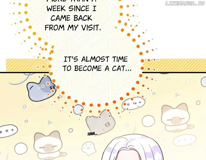 I Became the Sultan’s Precious Cat Chapter 54 page 105