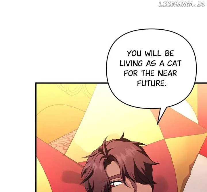 I Became the Sultan’s Precious Cat Chapter 55 page 11