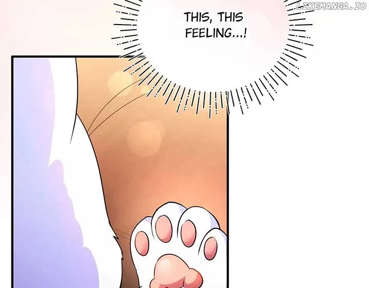 I Became the Sultan’s Precious Cat Chapter 54 page 162