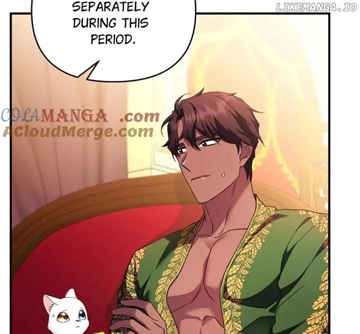 I Became the Sultan’s Precious Cat Chapter 55 page 63