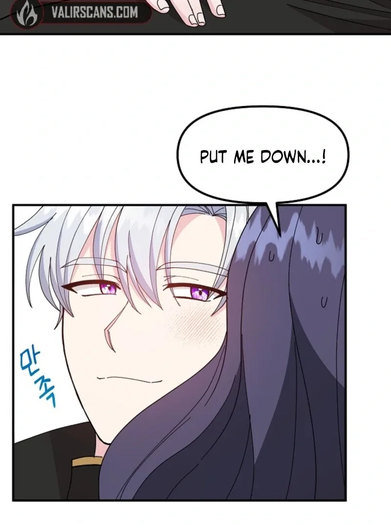 I Became the Tutor of the Royal Twins Chapter 76 page 65