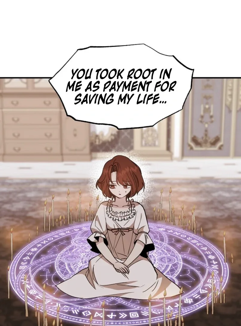 I Became the Tutor of the Royal Twins Chapter 81 page 47