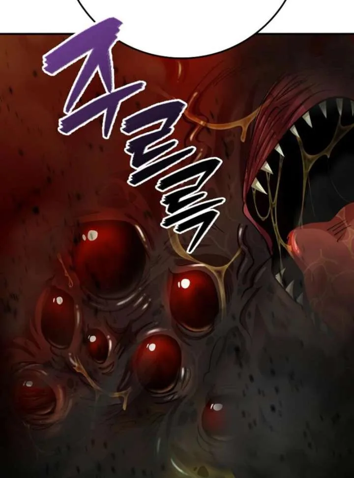 I Became The Villain The Hero Is Obsessed With Chapter 25 page 83