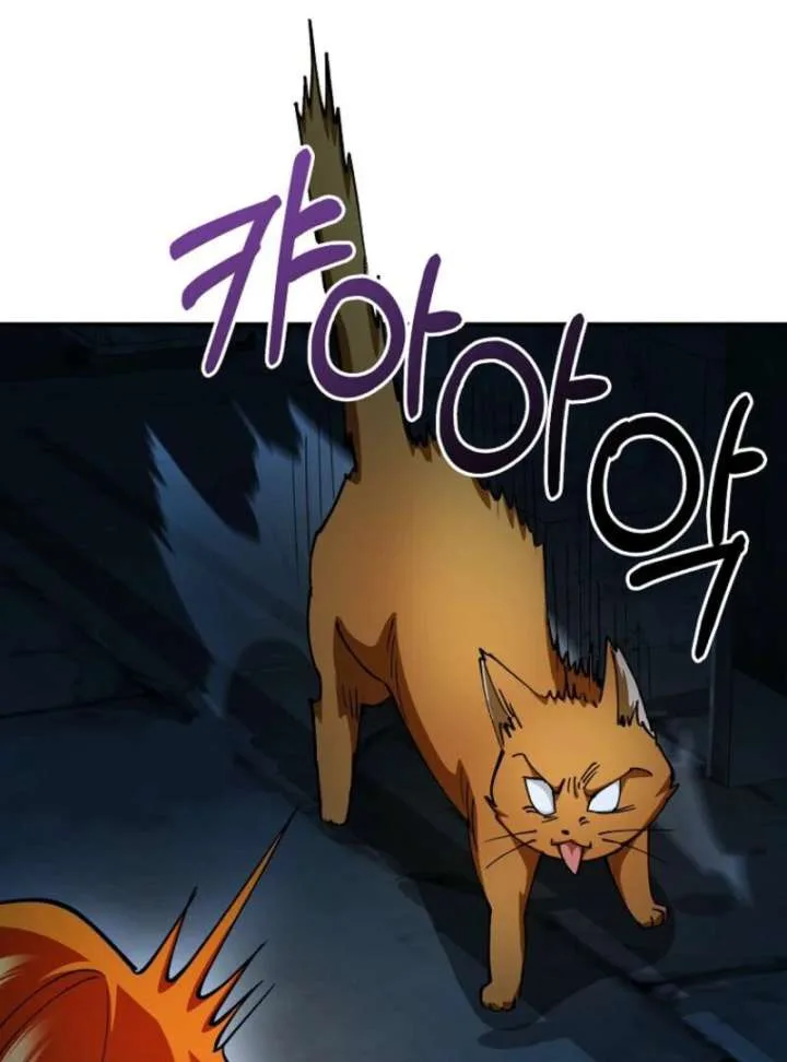 I Became The Villain The Hero Is Obsessed With Chapter 31 page 97