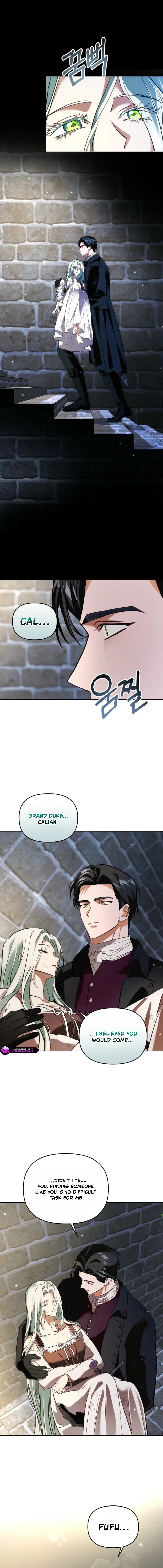 I Became the Wife of the Cursed Grand Duke Chapter 6 page 15