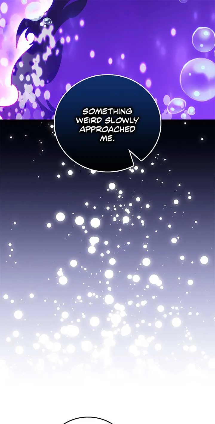 I Became the Young Villain’s Sister-In-Law Chapter 44 page 17