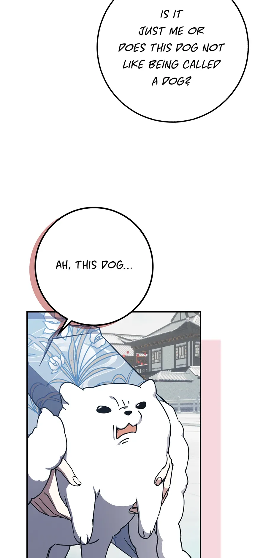 I Became The Young Wife of The Male Protagonist of a Martial Arts Novel Chapter 29 page 12