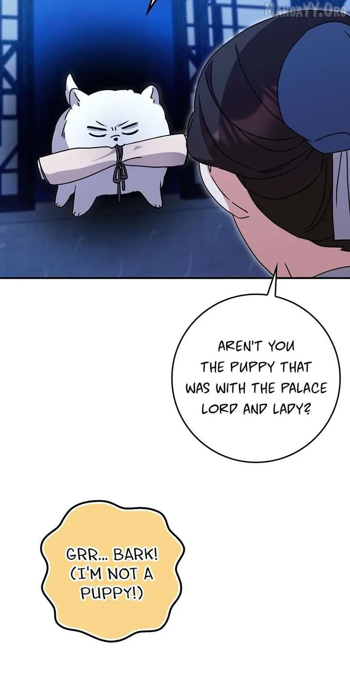 I Became The Young Wife of The Male Protagonist of a Martial Arts Novel Chapter 35 page 24