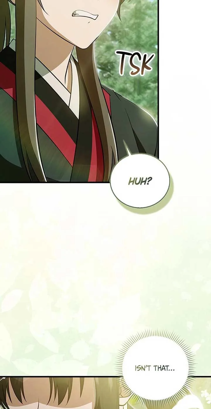 I Became The Youngest Disciple of The Mount Hua Sect Chapter 37 page 41